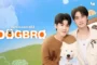 DogBro หมาน้องเดอะซีรีส์