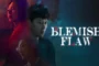 Blemish Flaw (2025) ซับไทย